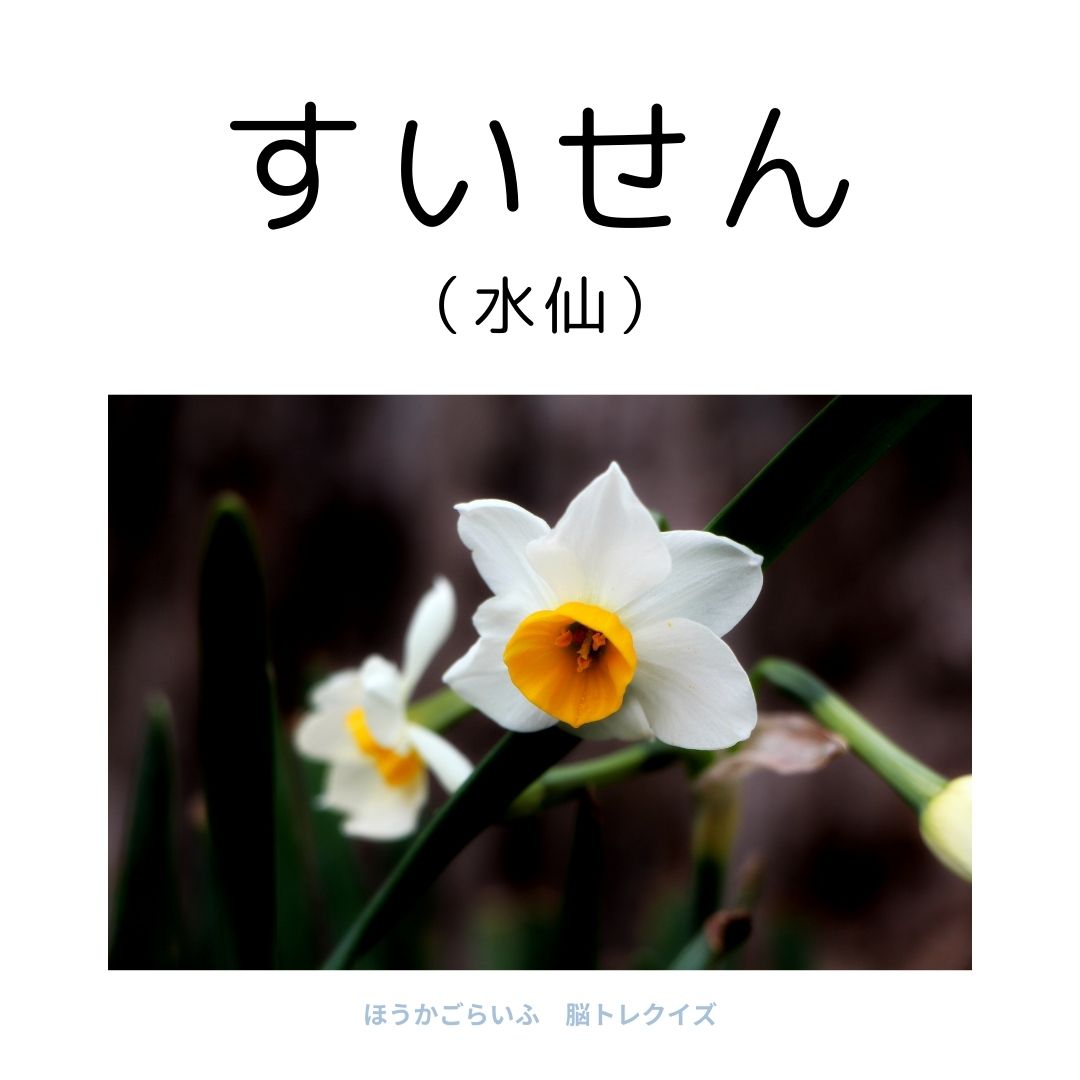 高齢者向け（無料）言葉の並び替えで脳トレしよう！文字（ひらがな）を並び替える簡単なゲーム【花の名前】健康寿命を延ばす鍵